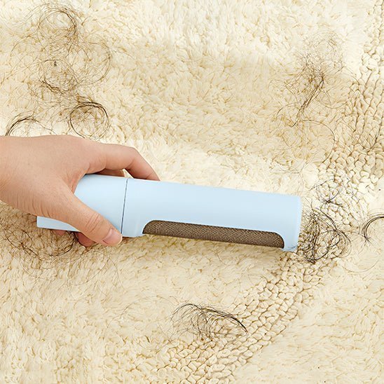 brosse-anti-poil-divan-sofa-plaid-canapé-réutilisable