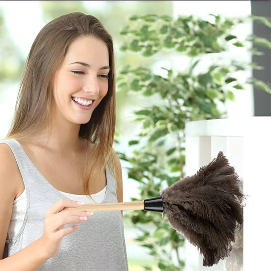 plumeau-ménage-meubles-poussière-salon
